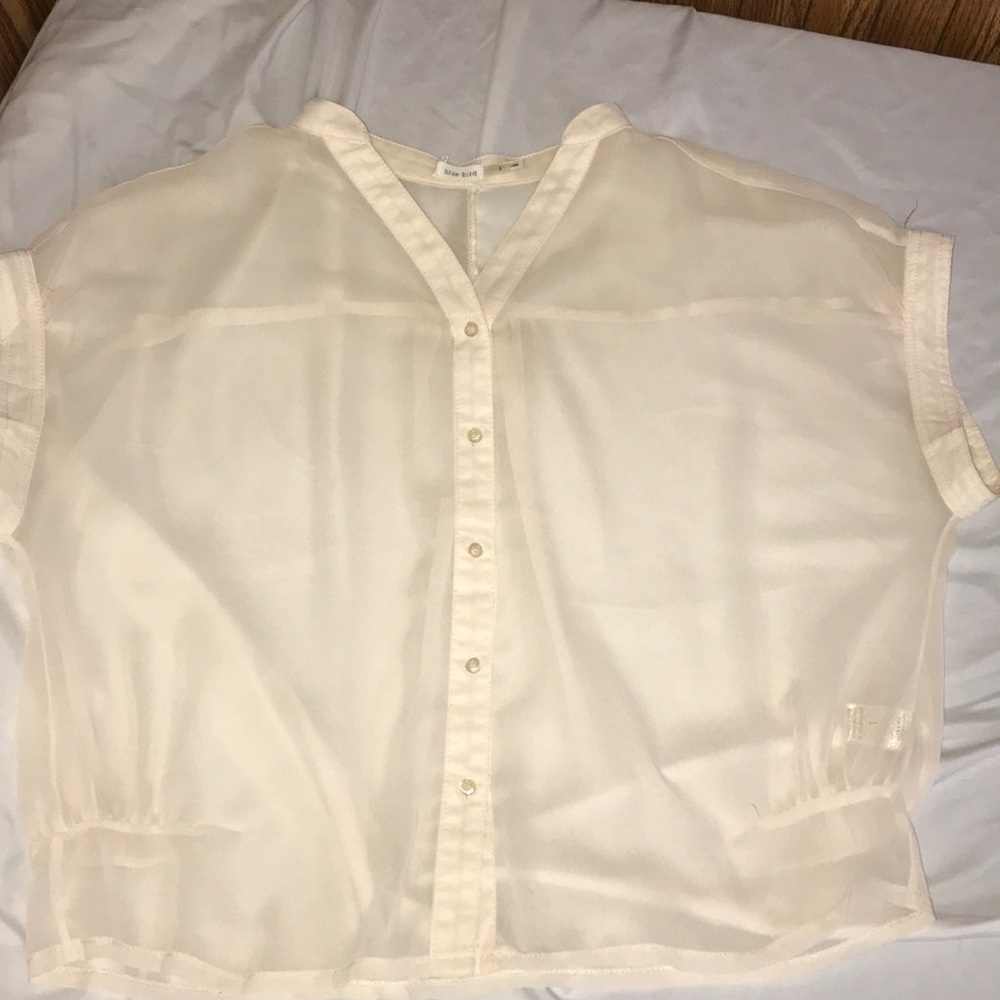 Blue Bird sheer blouse